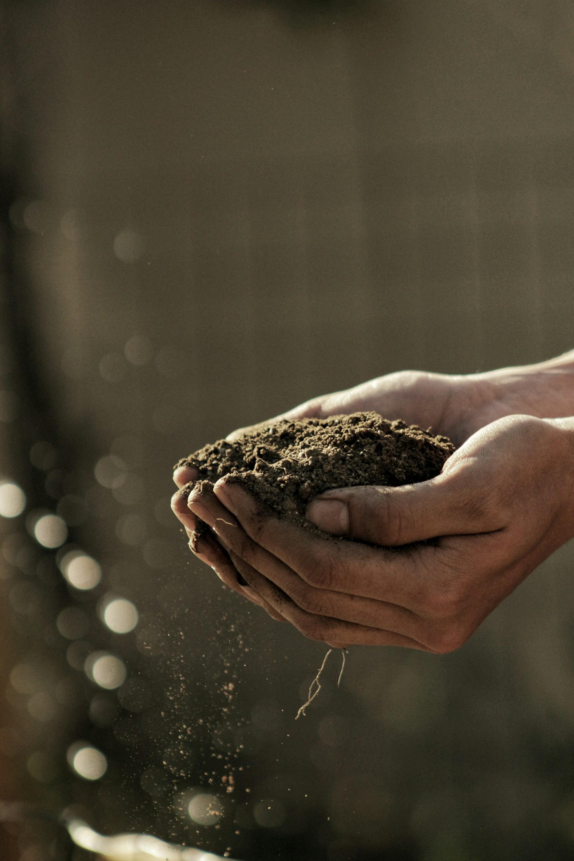 Person carrying soil, bokeh photography.